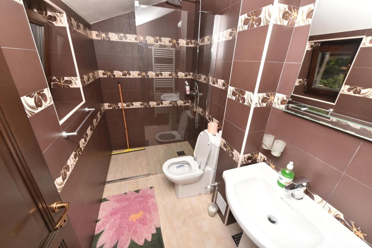 فندق Casa Andrei Orşova المظهر الخارجي الصورة